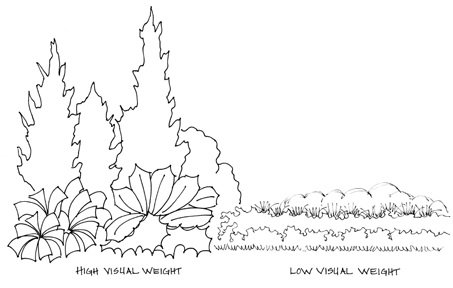 Plants vary in visual weight.