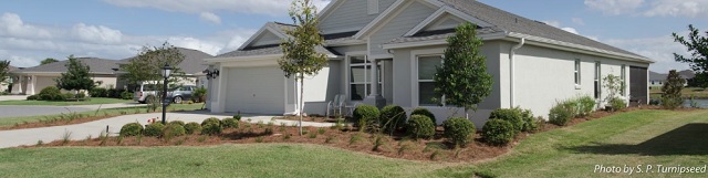 Al and Joan Lippman's Home