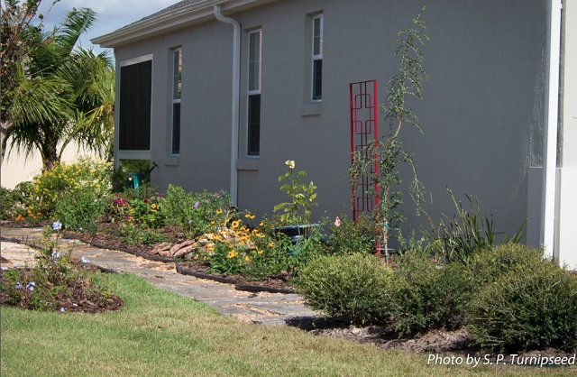 Judith Waidelich's Home