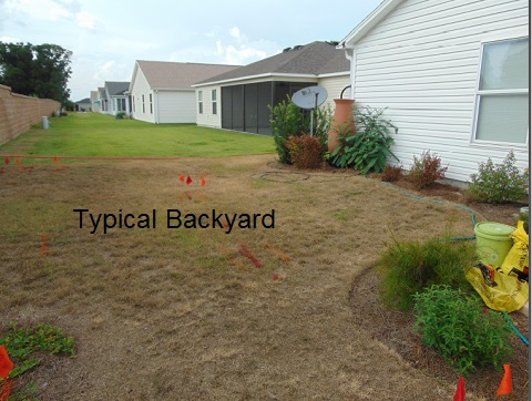 Back yard