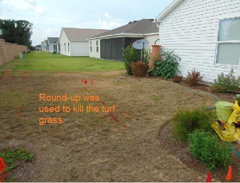 Kill the turf!