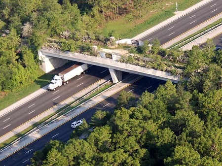 Florida Greenway Bridge over I-75