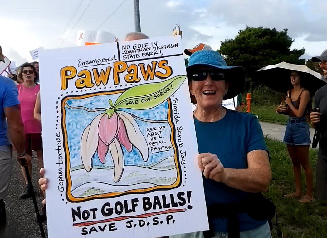 Not Golf Balls!