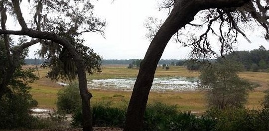 Gold Head Branch State Park