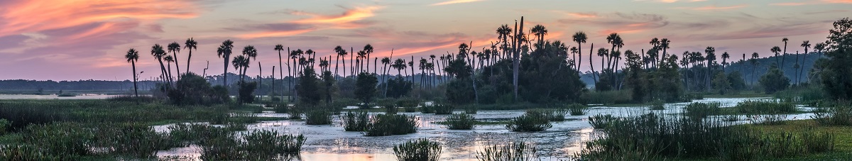 Orlando Wetlands